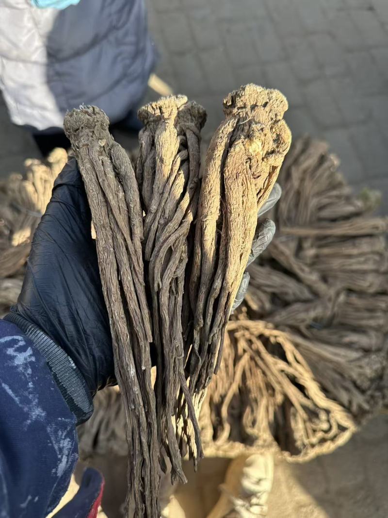甘肃当归，无硫熏染，原产地直发，保质保量。