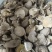 干香菇片金黄色干度好无杂质，量大优惠，欢迎合作