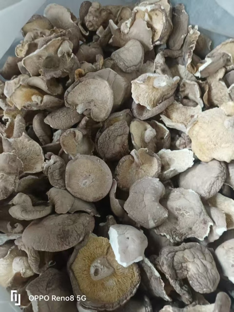 干香菇片金黄色干度好无杂质，量大优惠，欢迎合作