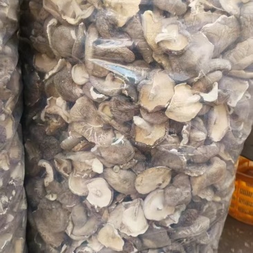 干香菇片金黄色干度好无杂质，量大优惠，欢迎合作