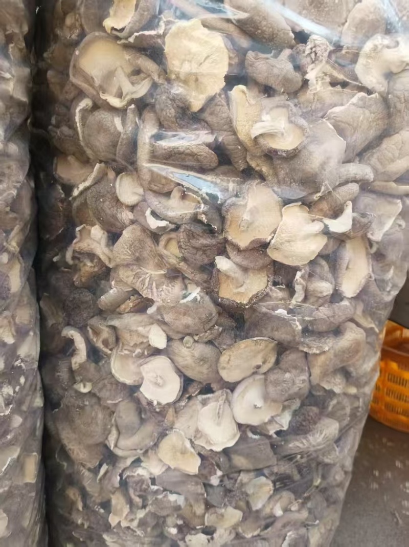 干香菇片金黄色干度好无杂质，量大优惠，欢迎合作