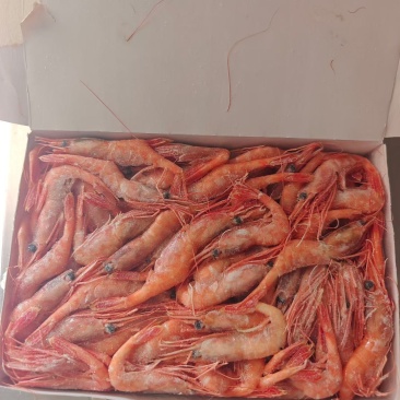 鲜食生鲜刺身级北极甜虾有货电商团购