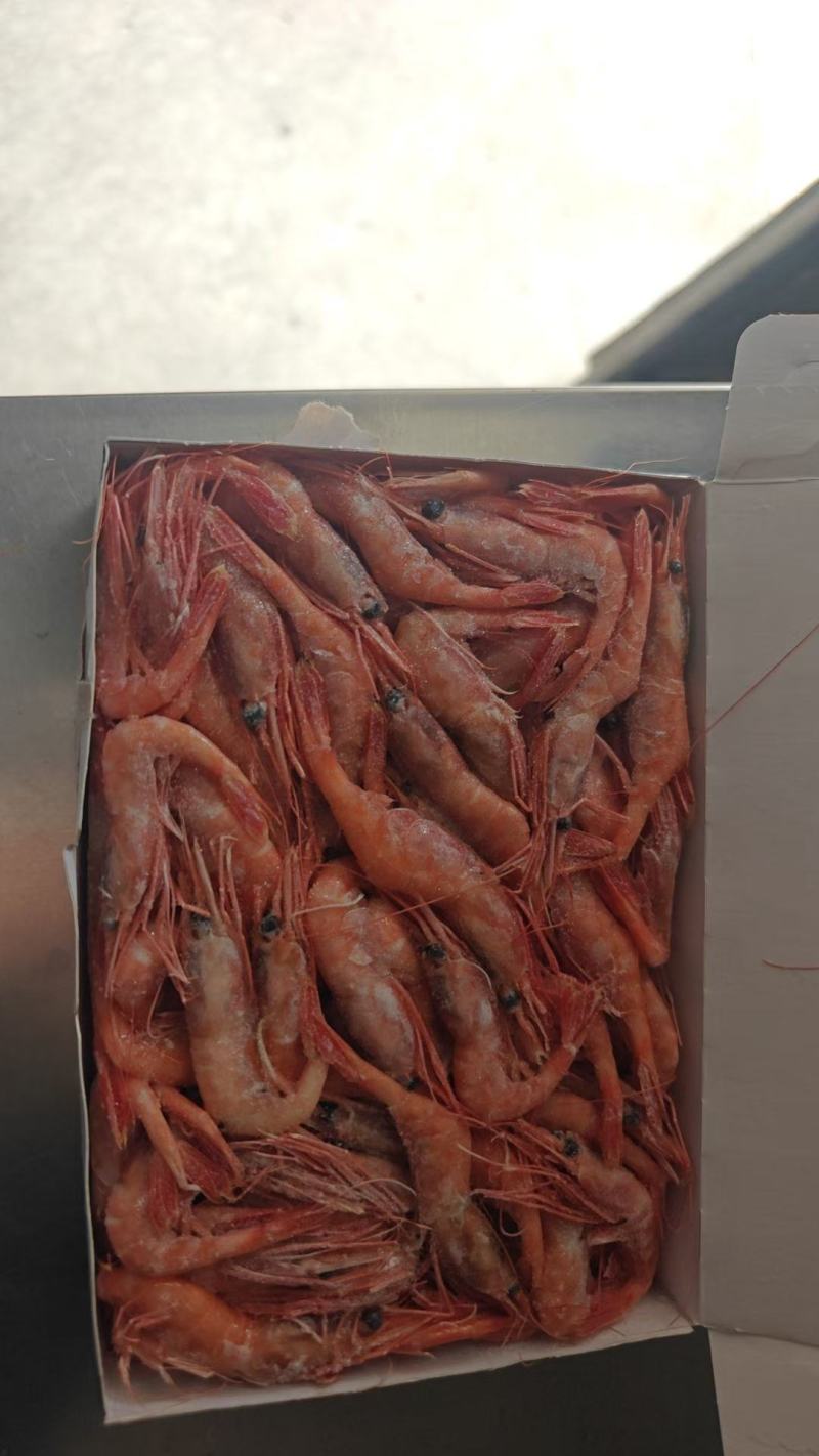 鲜食生鲜刺身级北极甜虾有货电商团购