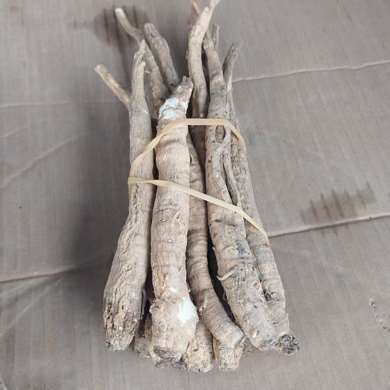 当归一手货源正宗自产自销长期供货品质有保证