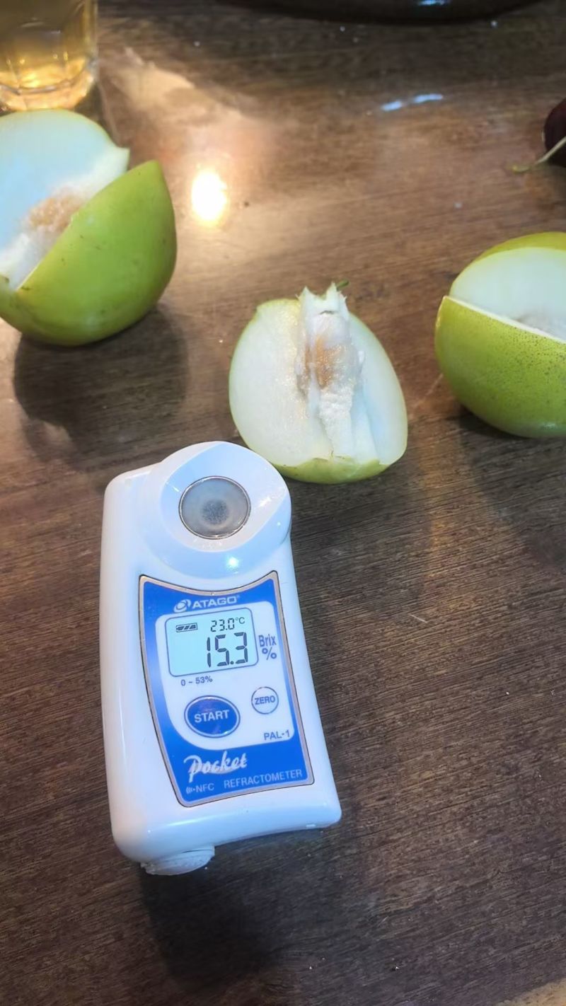苹果枣