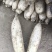 甜脆白萝卜，泥白萝卜，产地直供，天然***！