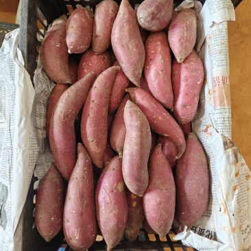 榴莲蜜薯