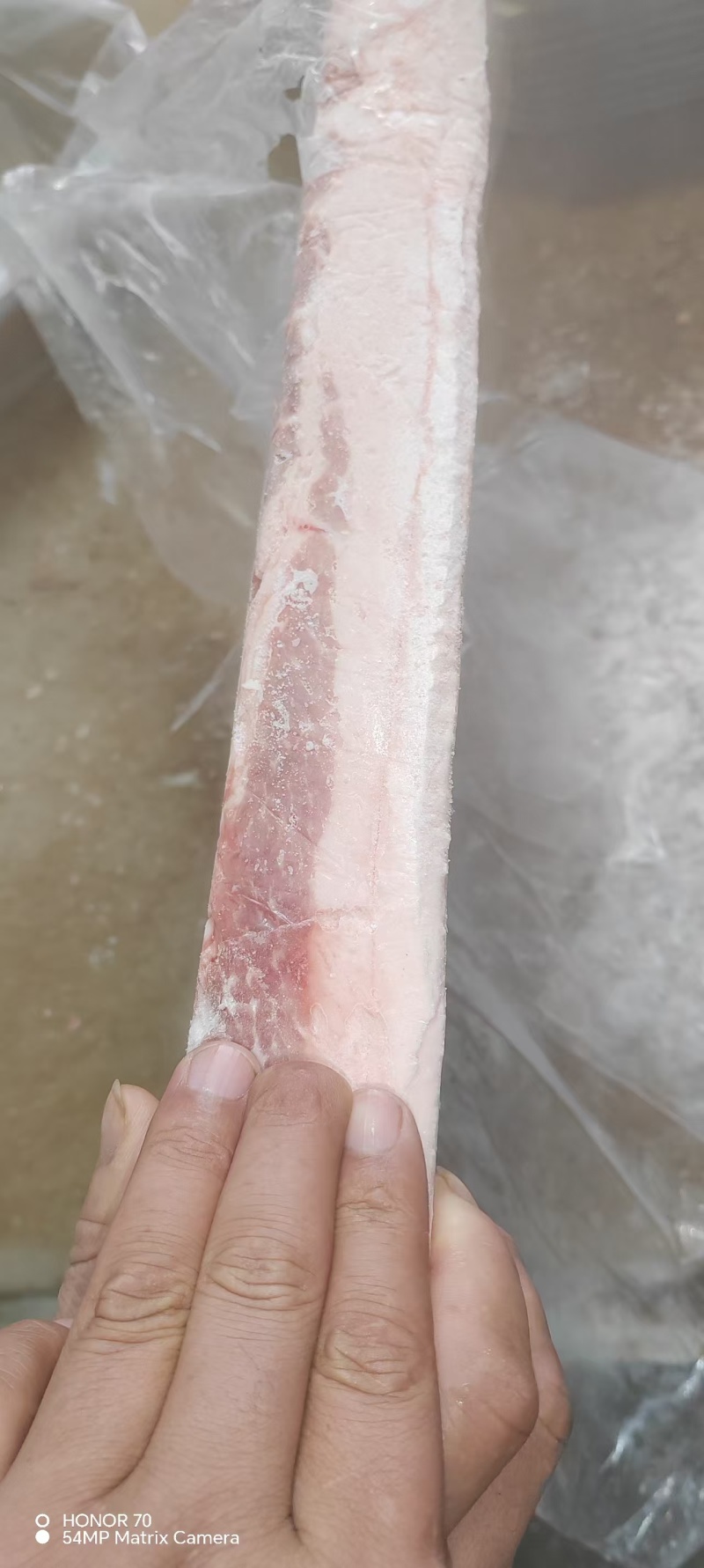 肥猪去皮压板中方抄码4-5片2吨