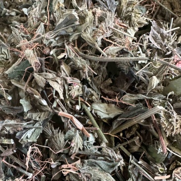 小青草六角英孩儿草货品均实物拍摄