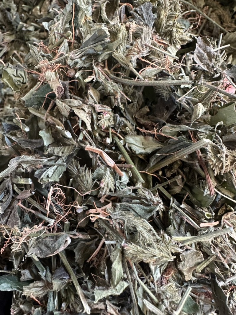 小青草六角英孩儿草货品均实物拍摄