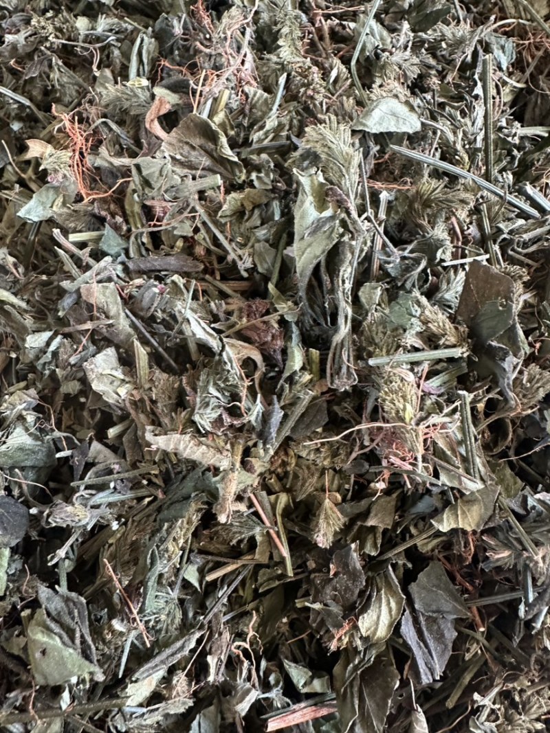 小青草六角英孩儿草货品均实物拍摄