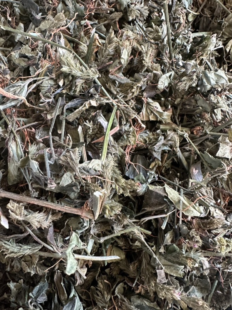 小青草六角英孩儿草货品均实物拍摄