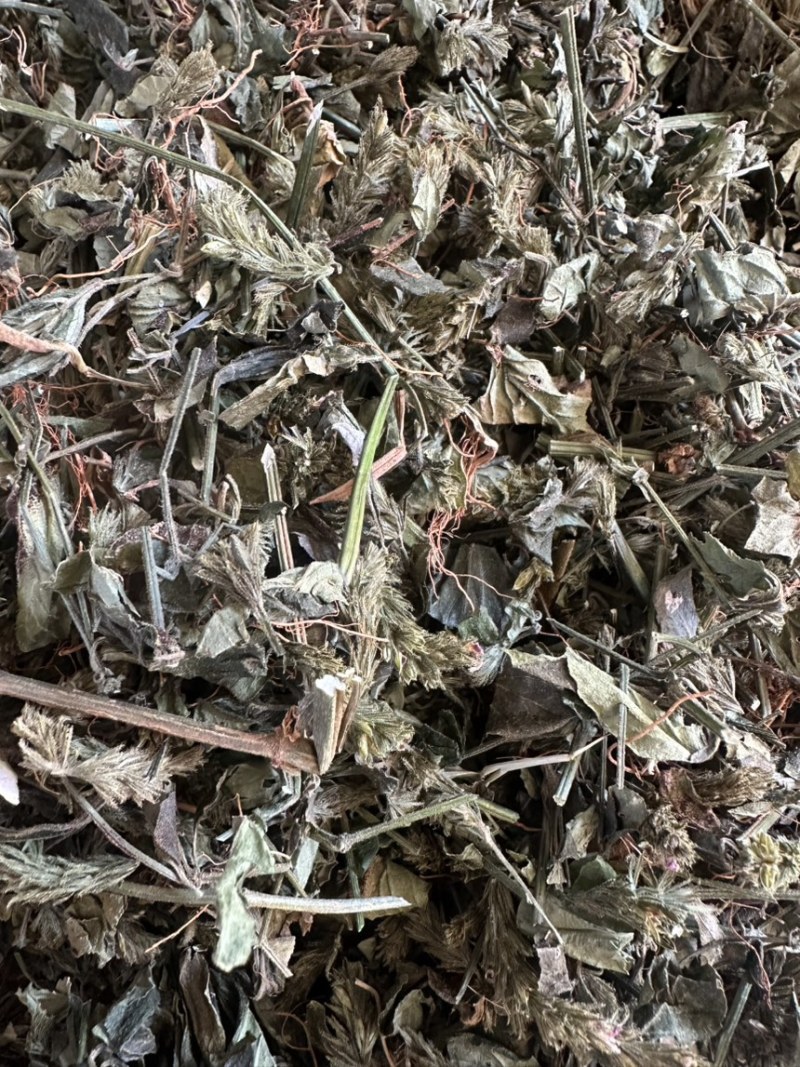小青草六角英孩儿草货品均实物拍摄