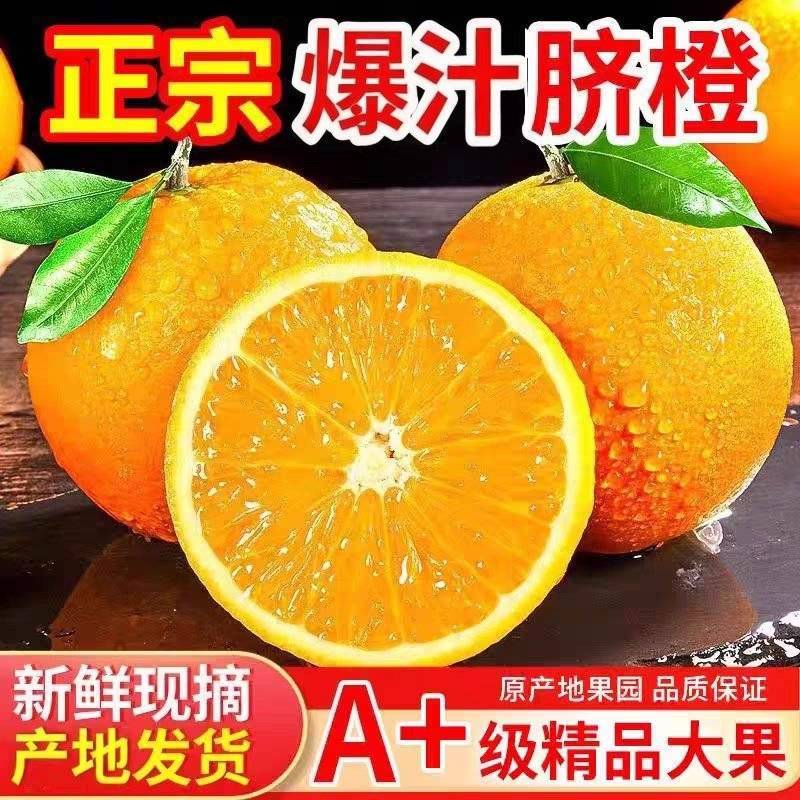 一件代发湖南常德脐橙，对接各大平台，市场，保质保量