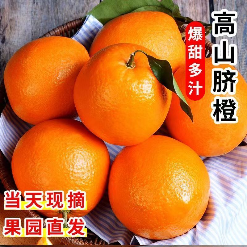 一件代发湖南常德脐橙，对接各大平台，市场，保质保量