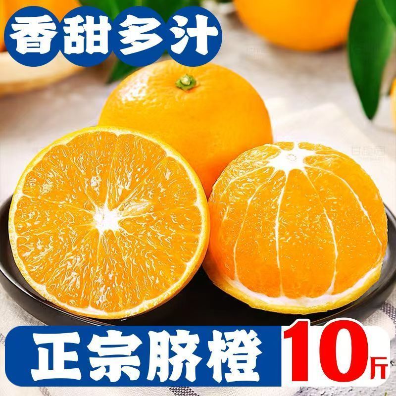 一件代发湖南常德脐橙，对接各大平台，市场，保质保量