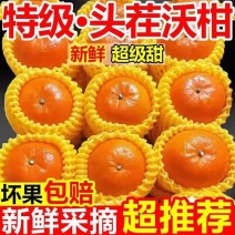广西武鸣沃柑，支持一件代发，甜美多汁，量大从优，欢迎来电