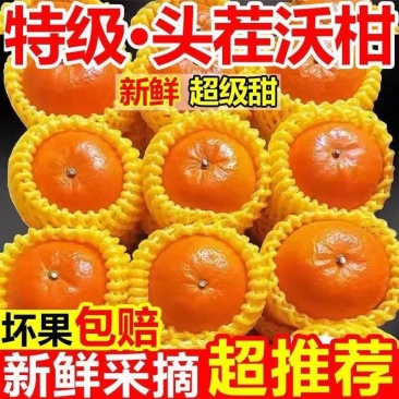 广西武鸣沃柑，支持一件代发，甜美多汁，量大从优，欢迎来电