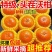 广西武鸣沃柑，支持一件代发，甜美多汁，量大从优，欢迎来电