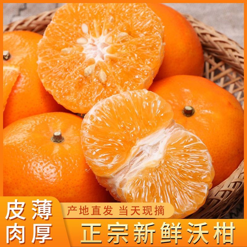 广西武鸣沃柑，支持一件代发，甜美多汁，量大从优，欢迎来电
