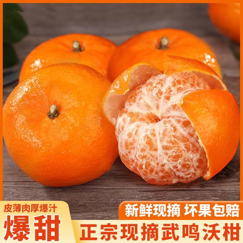 广西武鸣沃柑，支持一件代发，甜美多汁，量大从优，欢迎来电