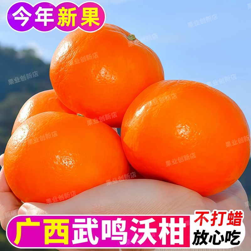 广西武鸣沃柑，支持一件代发，甜美多汁，量大从优，欢迎来电