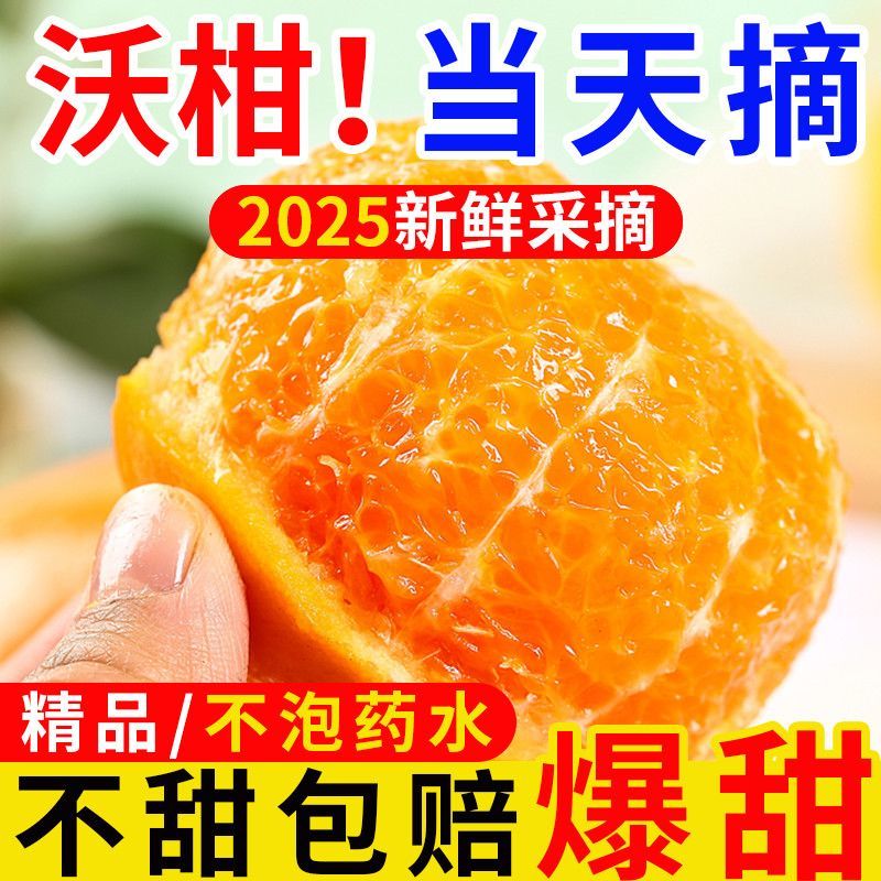 广西武鸣沃柑，支持一件代发，甜美多汁，量大从优，欢迎来电