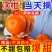 广西武鸣沃柑，支持一件代发，甜美多汁，量大从优，欢迎来电