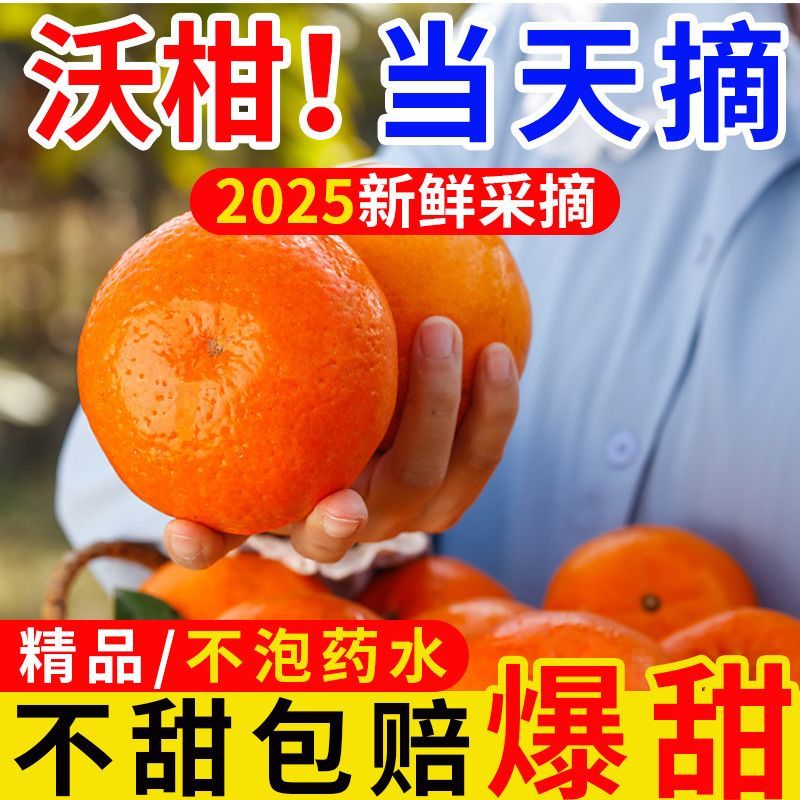 广西武鸣沃柑，支持一件代发，甜美多汁，量大从优，欢迎来电