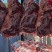 新疆放养生态羊羔肉羊娃子肉