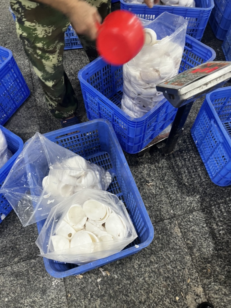 椰子水（混合椰水）椰子鸡火锅店用途味道好