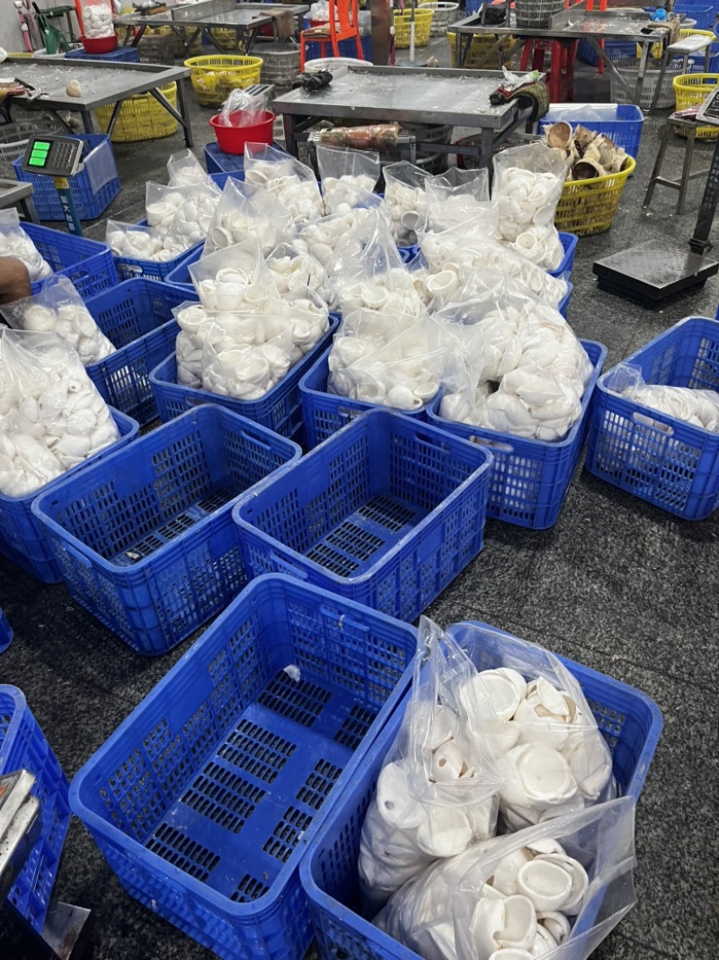 椰子水（混合椰水）椰子鸡火锅店用途味道好