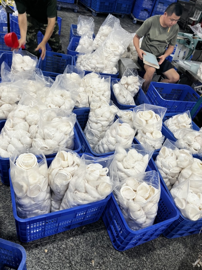 椰子水（混合椰水）椰子鸡火锅店用途味道好