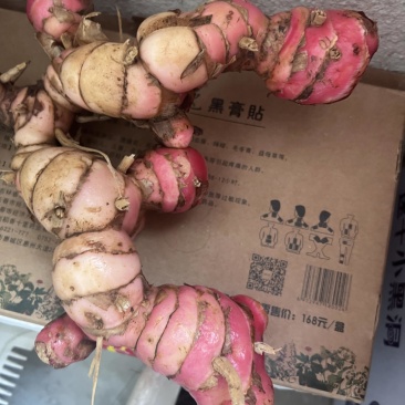 新鲜南姜，粉色，靓货