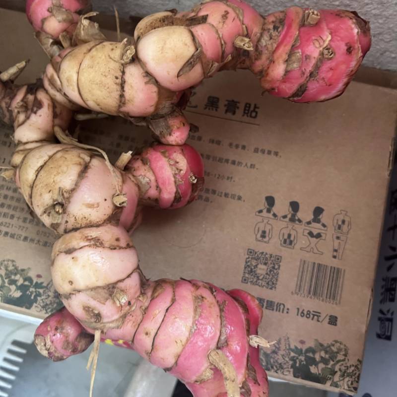 新鲜南姜，粉色，靓货