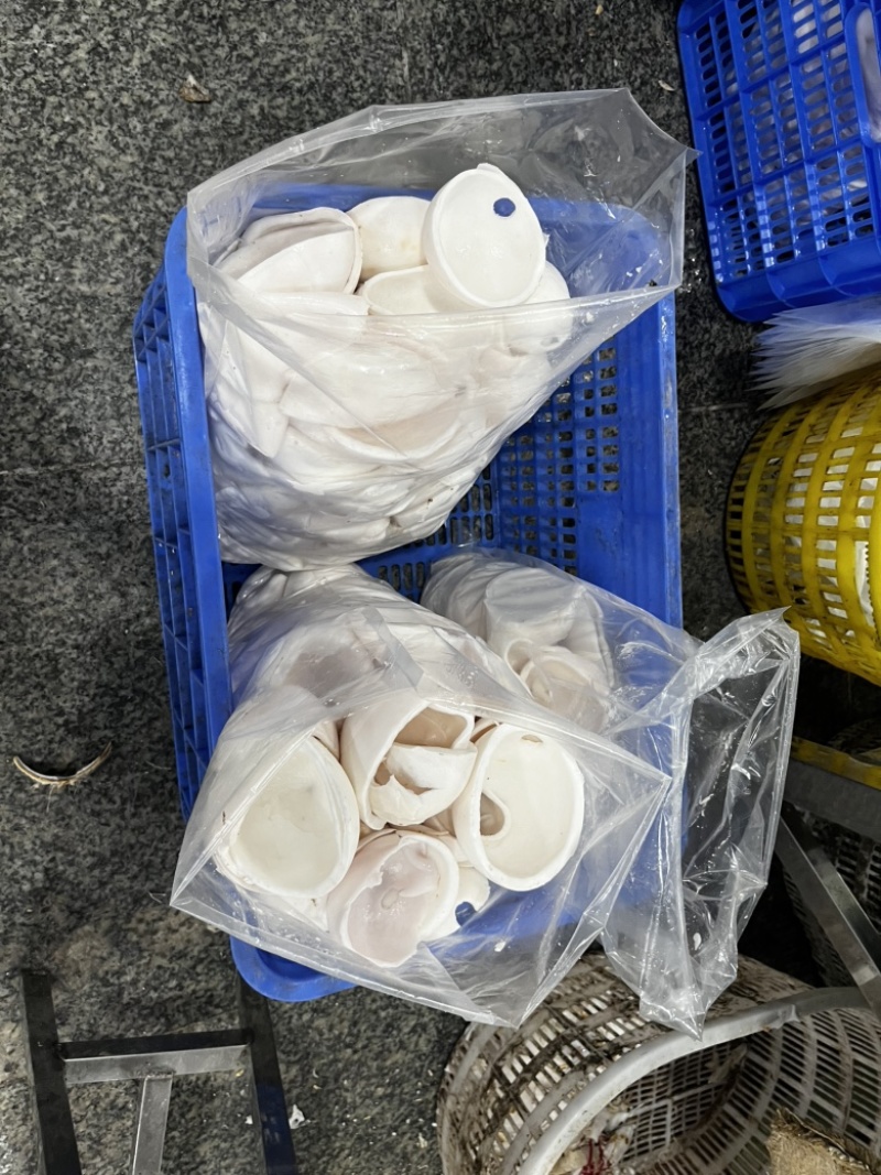 椰子水（混合椰水）椰子鸡火锅店用途味道好
