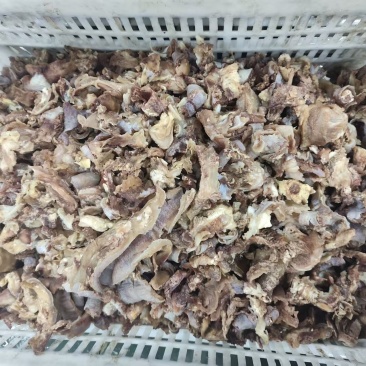 牛剔骨肉现货出售，纯干，无牛头碎肉