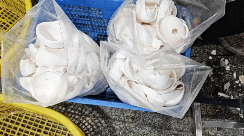 速冻香水椰肉丁烘焙茶饮渠道太好吃