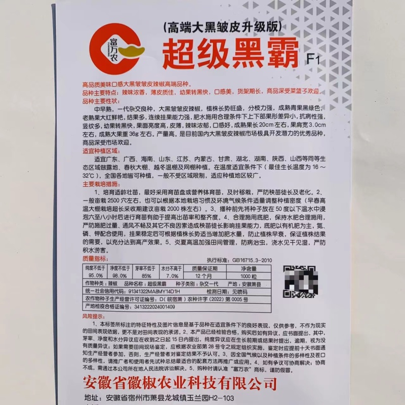 超级黑霸高端大果皱皮椒种子幼果转黑快特大黑皱皱椒种子