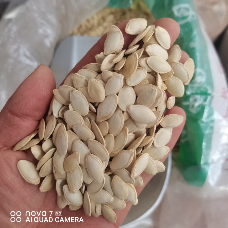 去壳南瓜子仁规格齐全新货量大从优支持看货