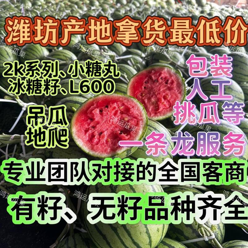 奶油2K小吊瓜糖丸西瓜，小糖丸西瓜，奶油小吊瓜，2k小瓜