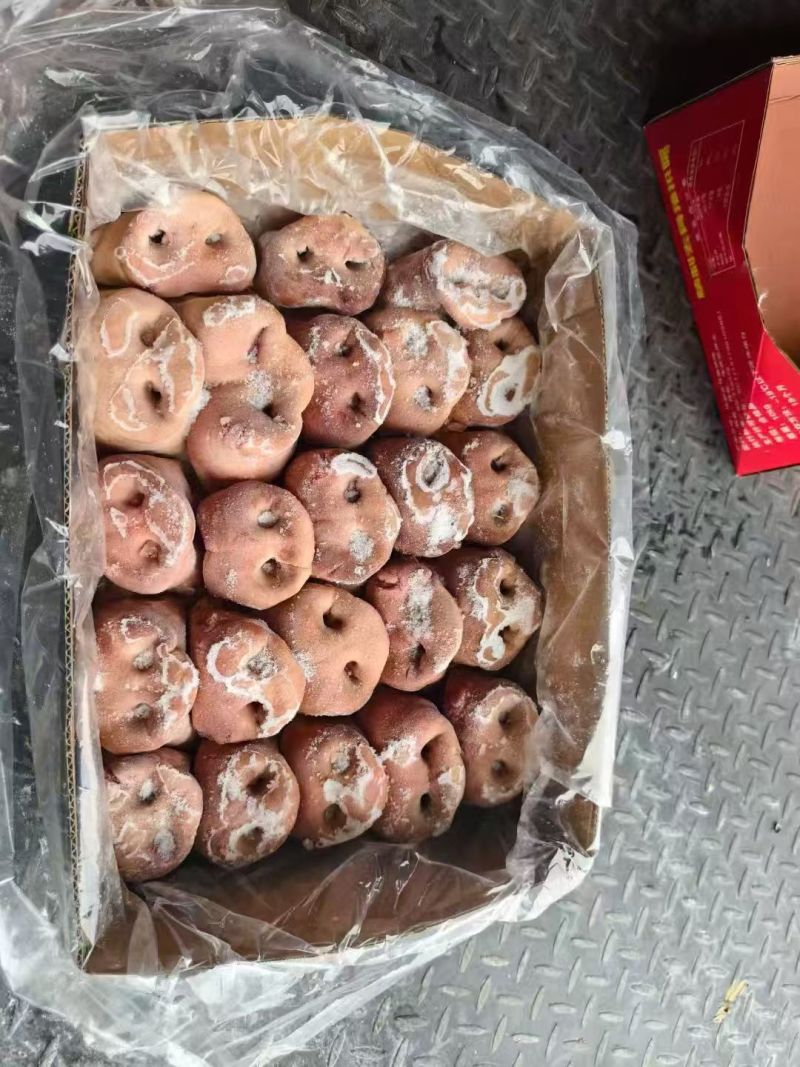 去骨猪鼻子20斤一箱50-55个左右