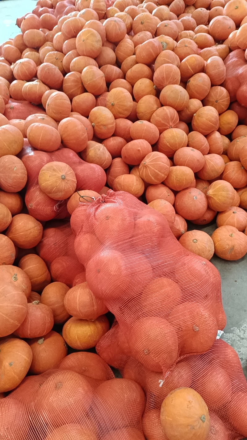 红贝贝红皮南瓜南瓜次果精品果市场批发零售