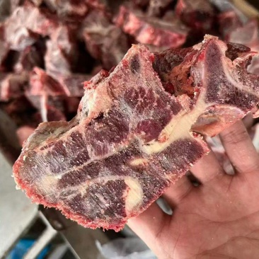 310满肉牛脖骨40斤