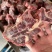310满肉牛脖骨40斤