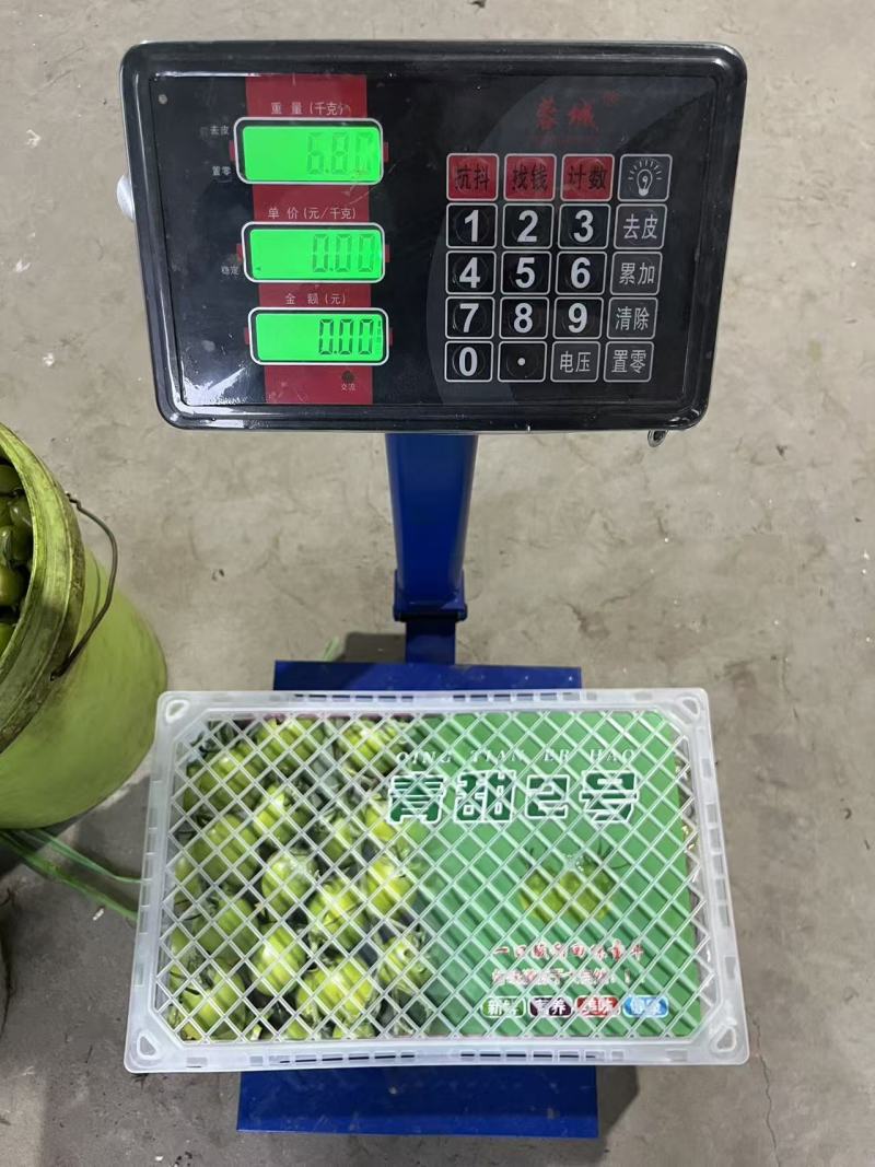 青甜小番茄寿光本地货源市场批发零售精品果