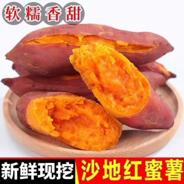唐山西瓜红蜜薯，可一件代发，产地直发质量保证欢迎联系