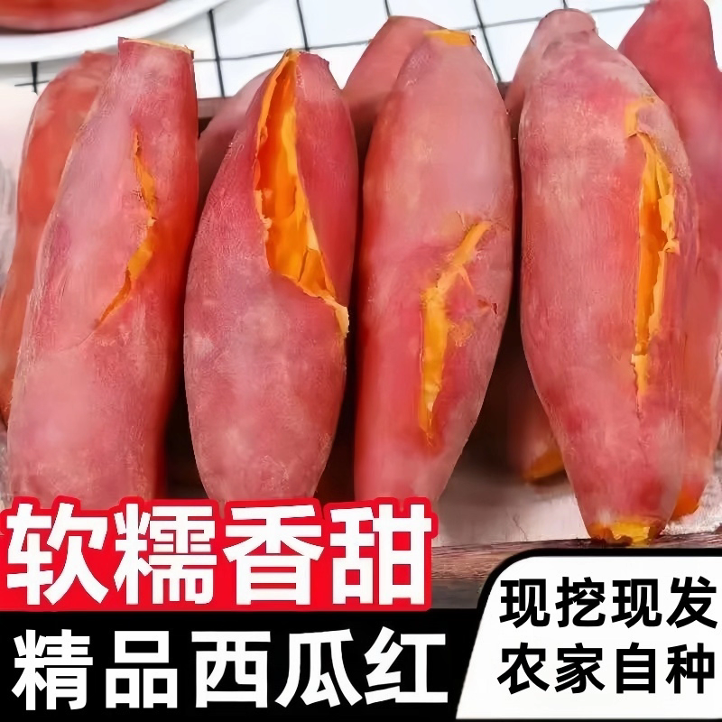 唐山西瓜红蜜薯，可一件代发，产地直发质量保证欢迎联系