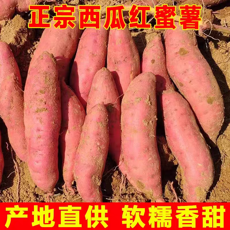唐山西瓜红蜜薯，可一件代发，产地直发质量保证欢迎联系
