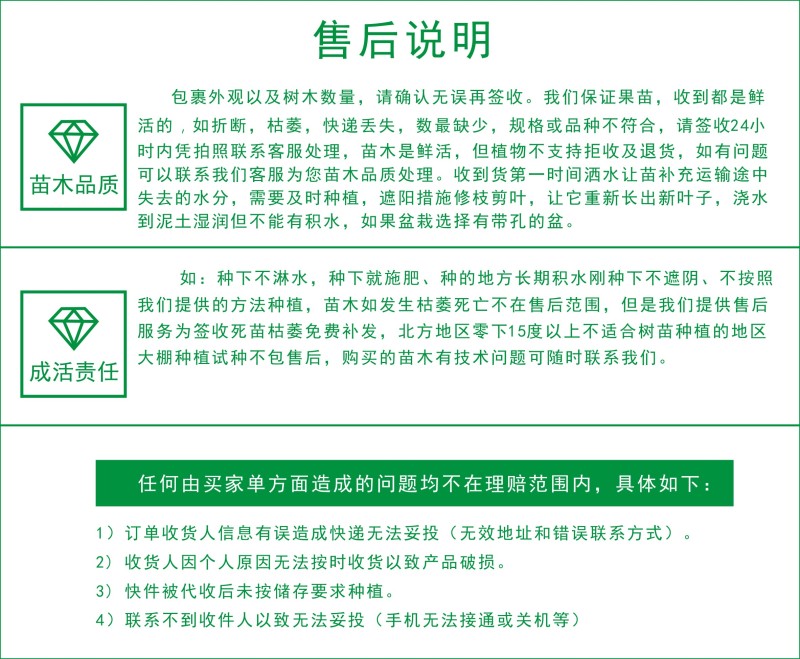 辉太郎甜柿裸根苗脆甜不涩柿子树苗正宗对接